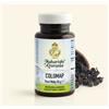 MAHARISHI COLOMAP (MA 813) 60 Compresse 30g