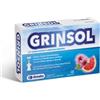 GRINSOL 15 FIALE X 5 ML