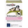 ENTEROSALUS 20 BUSTINE 2,5 G