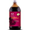 Salugea Succo di Acerola Bio 500 ml