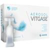 VITGASE Aerosol 15Fiale 25ml