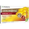 ARKOROYAL ENERGING COM S/Z10FL