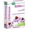 ESI Srl Echinaid Alta Potenza 30cps