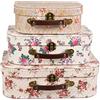 Sass & Belle Vintage Rose Suitcases - Set of 3