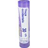 BOIRON Thya occidentalis 30CH 80 Granuli