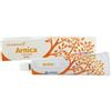 CEMON ARNICA CREMA GEL 60 ML CEMON
