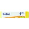 BOIRON CAUSTICUM*1MK GL 1G