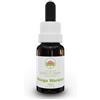 Green Remedies Australian Bush Flower Essences Monga Waratah Gocce 15 Ml
