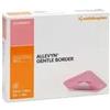 ALLEVYN GENTLE BORDER 10X10 10
