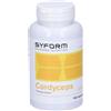 Cordyceps 100 Capsule