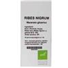 RIBES NIGRUM M.G.100ml OTI