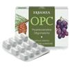 ERBAMEA OPC 24CPS VEG S/GL 500MG ERBAMEA