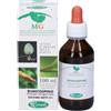 Mercato di Gemme Biancospino 100 ml