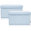 LIFENEY Set di 2 contenitori per bambini (37 x 25 x 21 cm), cestino portaoggetti per cameretta dei bambini e soggiorno, scatola per bambini (punti azzurro)