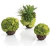 biOrb 72683 Set di sfere di corallo verde - corallo artificiale sferico affondante, decorazione vegetale per acquari marini e d'acqua dolce