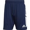 adidas Uomo Shorts (1/4) Con22 TR SHO, Team Navy Blue 2/White, HA6284, 2XLT