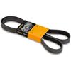 CONTITECH 6PK1555 Cinghia Poly-V