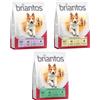 briantos Set prova! 3 x 1 kg Briantos Adult - Agnello, Pollo, Salmone