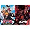 Bleach (VOL.1-366 + 4 Movie + 2 Sp + Live Film + Thousand-Year Blood War) ~ DVD