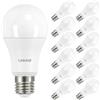 Linkind Lampadina LED E27, 13,5W(Equivalenti a 100 W), Lampadine A60 Edison 1560 Lumen, Luce Bianca Fredda 5000k, Angolo del Fascio di 220 Gradi, Non Dimmerabile, Pacco da 12