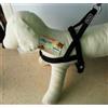comfort line Pettorina Trekking Fuss-Comfort 30mm Nera, FERRIBIELLA, Cani Grandi, Grossa Taglia