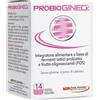 Pool Pharma PROBIOGINECK 20 CAPSULE VEGETALI DEGLUTIBILI DA 325 MG SENZA GLUTINE NATURALMENTE PRIVO DI LATTOSIO