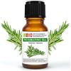 Laborbio Rosmarino Bio Olio essenziale 100% Puro 10 ml - Uso interno Terapeutico Alimentare Diffusori Aromaterapia Cosmetica Cucina - Laborbio