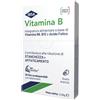 IBSA FARMACEUTICI ITALIA Srl Vitamina B Integratore IBSA - Film Orodispersibili Arancia, 30 Bustine