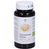 Ganoderma Gheos Capsule 90 pz