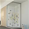 Idralite Box doccia 75x120CM H198 stampato C mod. Evolution