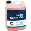 OSCULATI Detergente per sentina Bilge Sentidek 5 l