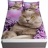 WHUOEUCO Lenzuola con Angoli 160x200 cm Gatto Animale Microfibra per Letto  con Materasso Fino a 30cm, Tessuto Ipoallergenico di Morbido e Lavabile in  Lavatrice : : Casa e cucina