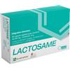 AMG FARMACEUTICI SRL LACTOSAME 30 CAPSULE
