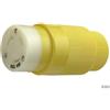 Spina marinco 30a