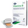 IBSA FARMACEUTICI ITALIA Srl VITAMINA B IBSA 30 FILM ORALI