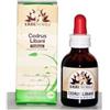 Erbenobili FITOBLASTO CEDRUS LIBANI 50 ML