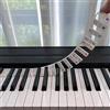 GUAN Etichette per spartiti rimovibili con tastiera per pianoforte, riutilizzabili, in gel di silice, 88 tastiere, tasti per pianoforte, per bambini, principianti, apprendimento del pianoforte, con scatola