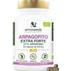 Amoseeds Arpagofito BIO, Artiglio del Diavolo | Extra Forte, 3000mg / giorno | Articolazioni, Tendini, Mobilità | 2,7% Arpagosidi | Qualità Superiore