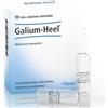 GUNA SpA Galium Heel 10 fiale
