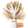 ZJTAPE Pampas Grass Essiccato - Fiori Secchi Naturali Decorativi, Bouquet di Fiori Secchi per Tavolo da Sposa Soggiorno Vasi Boho Home Decor