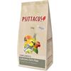 Psittacus Calcio Grit Fino - Psittacus - Calcio Grit Fino - 2KG