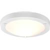 Trio Leuchten Trio 6801011-01 Plafoniera, Vetro Opale Bianco