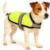 Flamingo Cappottino Invernale per Cani Eisbär Giallo Fluo 30CM