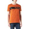 Replay Anbass T-shirt Regolare, Uomo, Arancione (610 Arancione), S