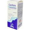 Canfora New Fa.Dem. 10% SOLUZIONE CUTANEA OLEOSA Flacone 100ml