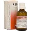 RECKEWEG R28 GOCCE 22 ML