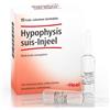 Hypophysis Suis-Injeel 10 Fiale Iniettabili