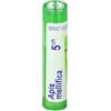 BOIRON Apis mellifica 5CH 80 Granuli