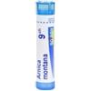 BOIRON BO.ARNICA MONTANA 9CH DOSE