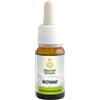 NASYAMAP Olio Gocce 10ml